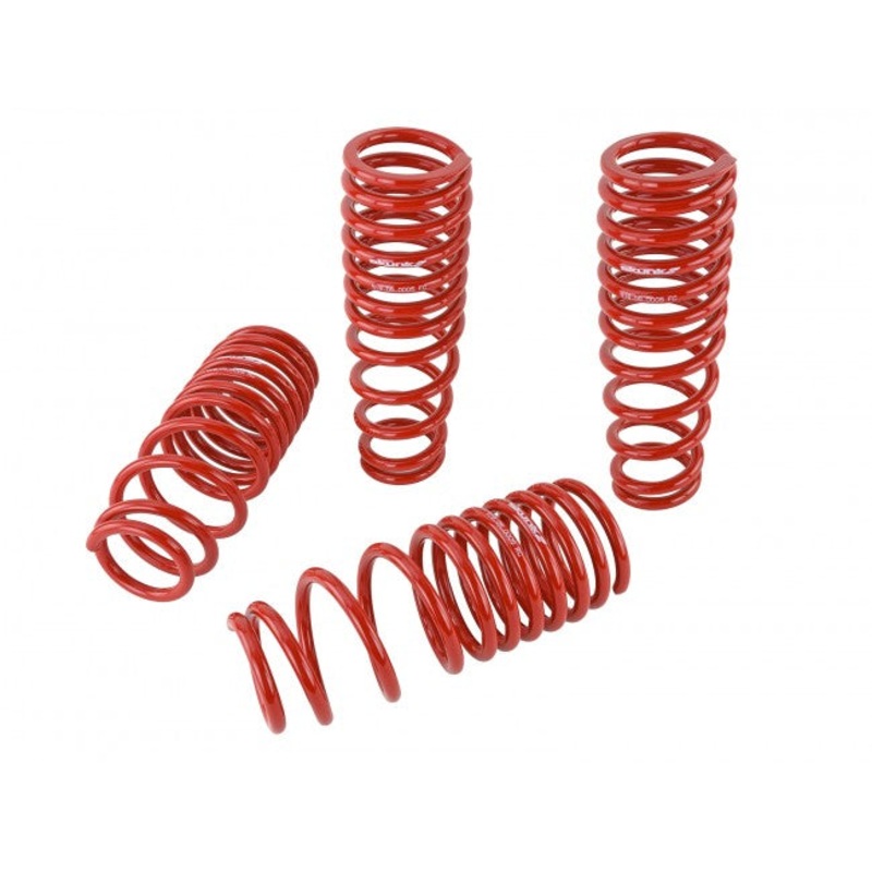 Skunk2 Performance Lowering Springs - Acura Integra DC (1994-2001)