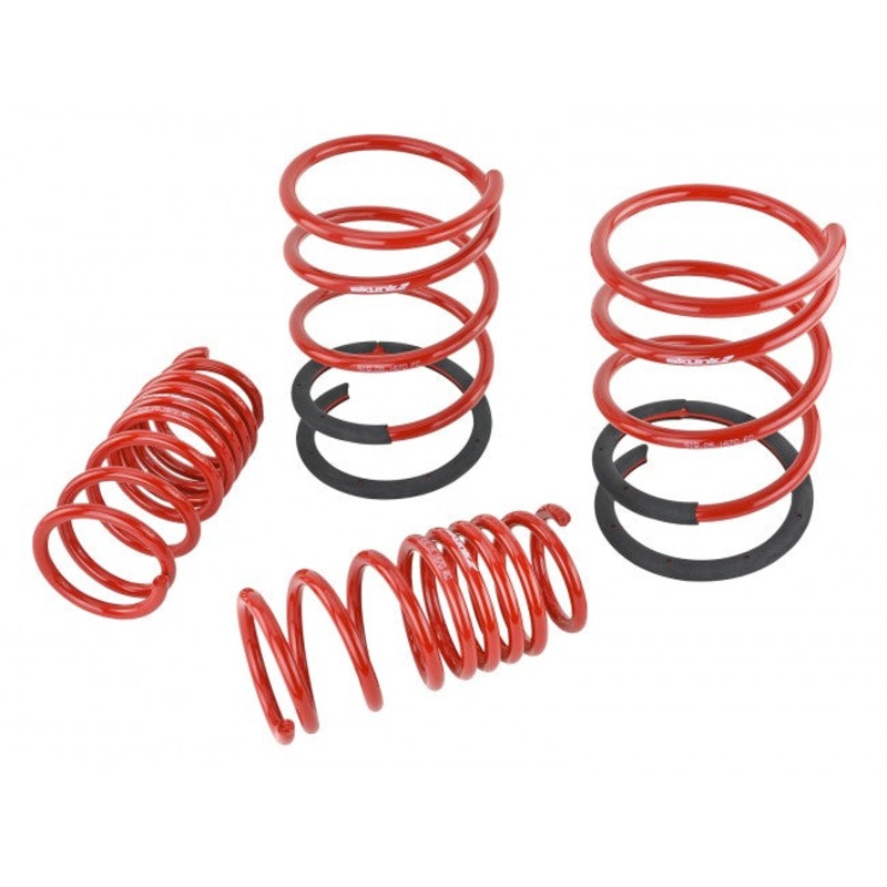 Skunk2 Performance Lowering Springs - Acura RSX & Type S (2002-2004)