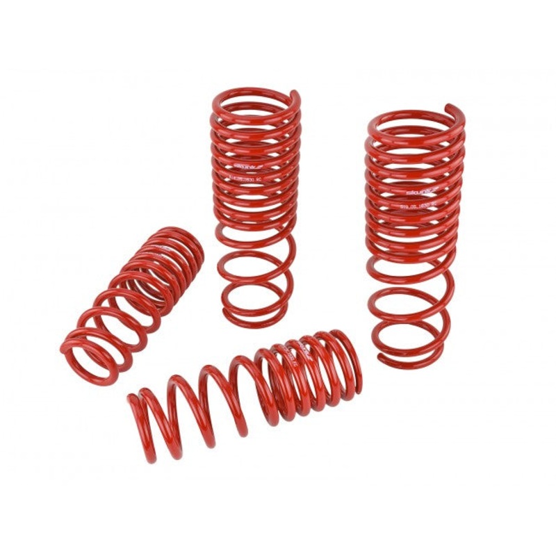 Skunk2 Performance Lowering Springs - Honda Accord (1990-1997)
