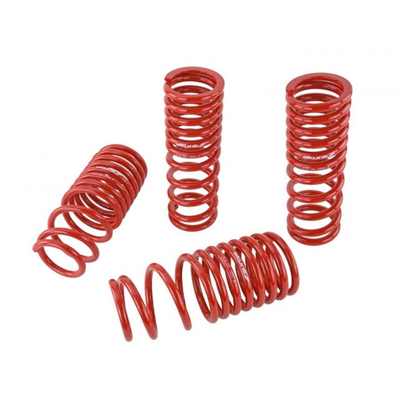 Skunk2 Performance Lowering Springs - Honda Civic & CRX (1988-1991)