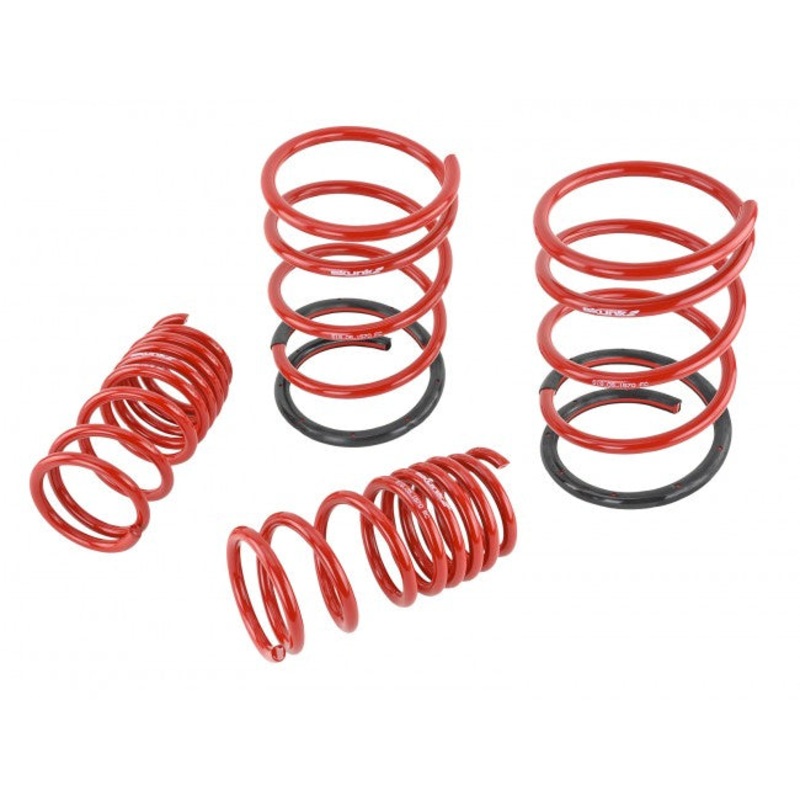Skunk2 Performance Lowering Springs - Honda Civic & Si (2001-2005)